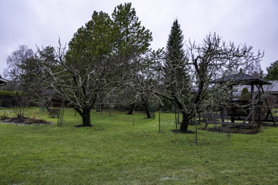 Kotipihaa 31.1.2025!